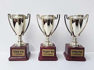 ���� ������ ���� �� ����