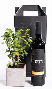 מארז צמח בכלי ובקבוק יין מארז צמח בכלי ובקבוק יין