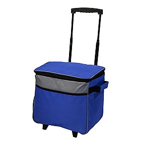 צידנית טרולי איכותית צידנית טרולי איכותית